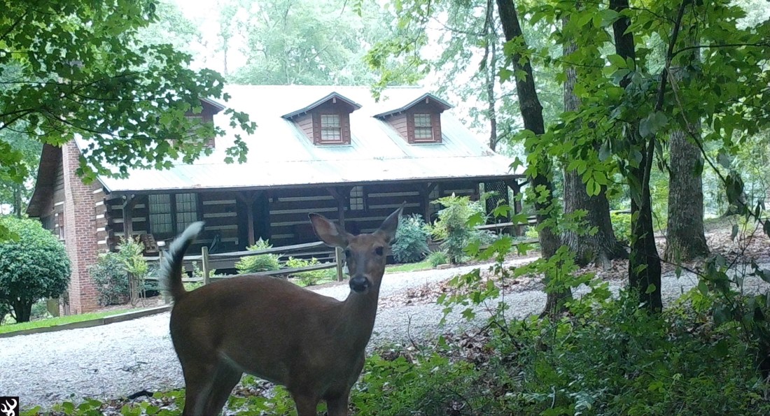 22E45E8E-07AA-4446-9444-80C633A5E588