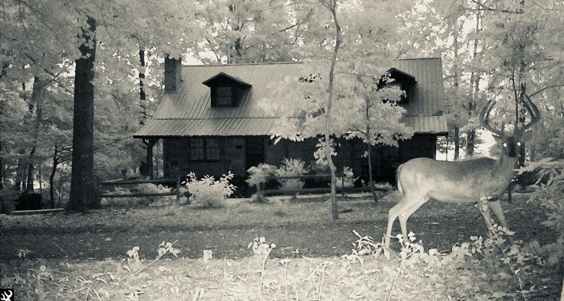 33D0ACD4-3B71-42C0-BC48-9354BF6DCB21